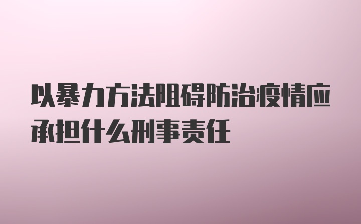 以暴力方法阻碍防治疫情应承担什么刑事责任