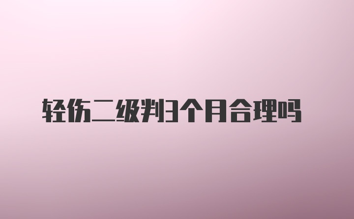 轻伤二级判3个月合理吗