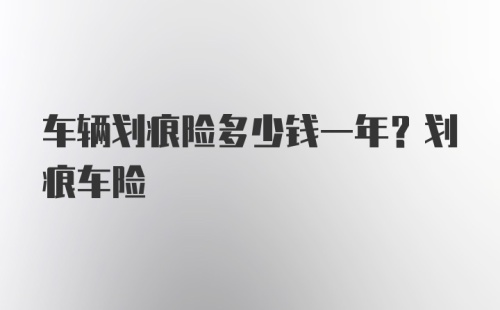 车辆划痕险多少钱一年？划痕车险