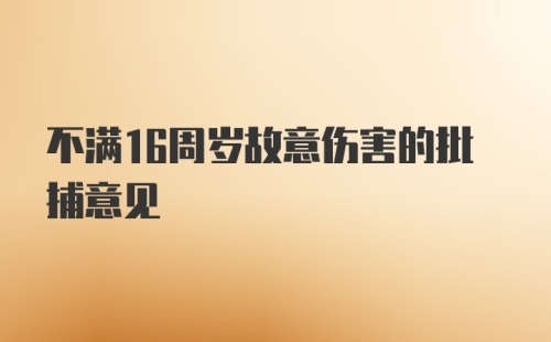 不满16周岁故意伤害的批捕意见