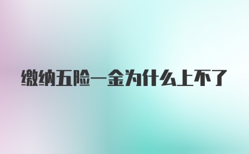 缴纳五险一金为什么上不了