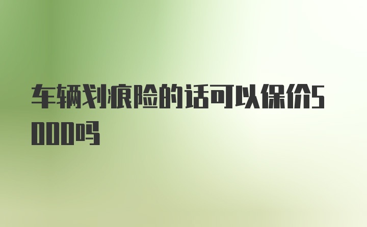 车辆划痕险的话可以保价5000吗