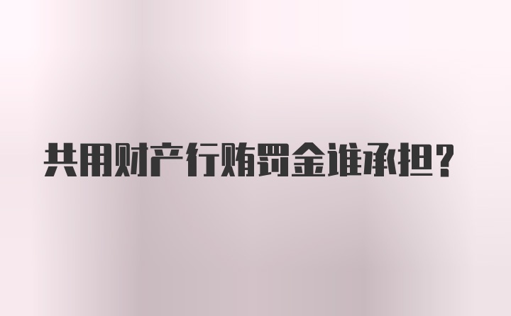 共用财产行贿罚金谁承担？