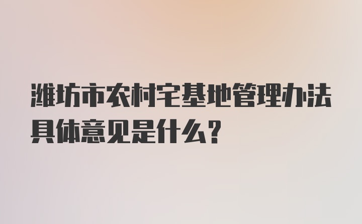 潍坊市农村宅基地管理办法具体意见是什么?