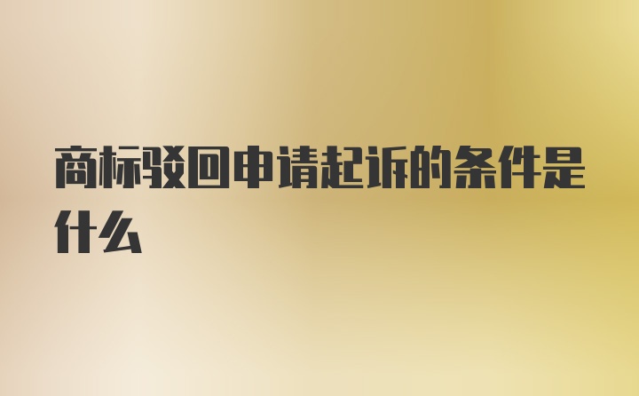 商标驳回申请起诉的条件是什么