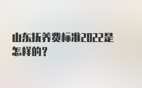 山东抚养费标准2022是怎样的？