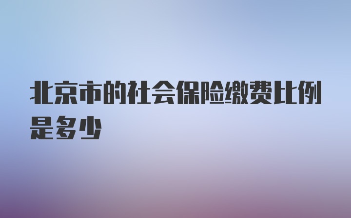 北京市的社会保险缴费比例是多少