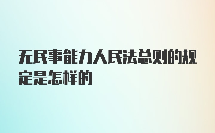 无民事能力人民法总则的规定是怎样的