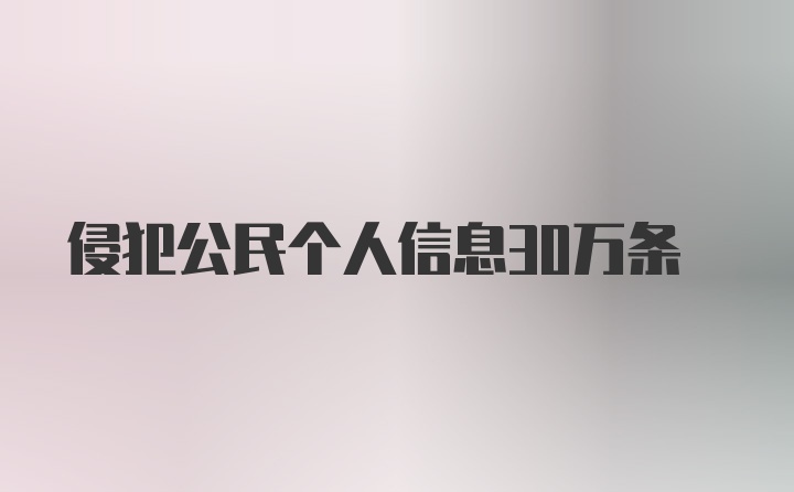 侵犯公民个人信息30万条