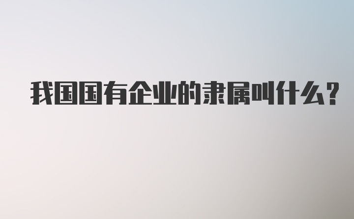 我国国有企业的隶属叫什么？