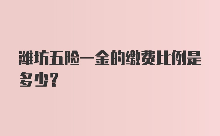 潍坊五险一金的缴费比例是多少？