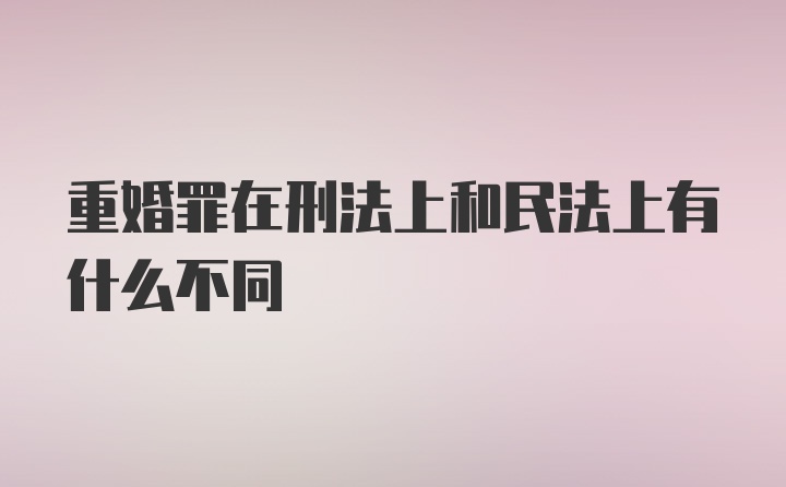 重婚罪在刑法上和民法上有什么不同