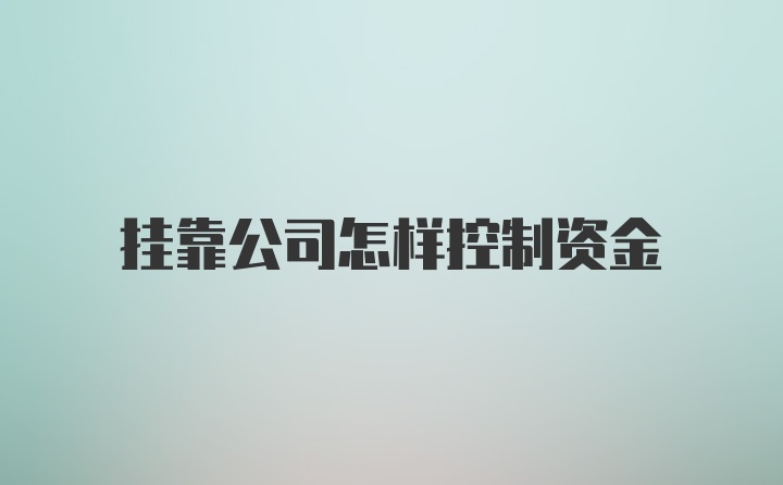 挂靠公司怎样控制资金