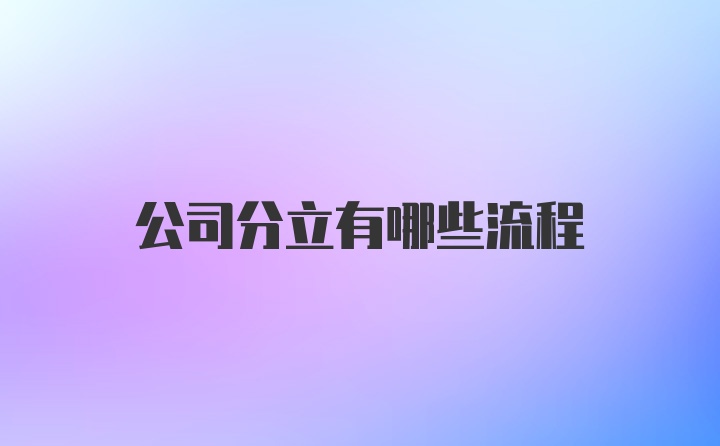 公司分立有哪些流程