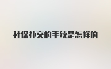 社保补交的手续是怎样的