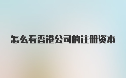 怎么看香港公司的注册资本