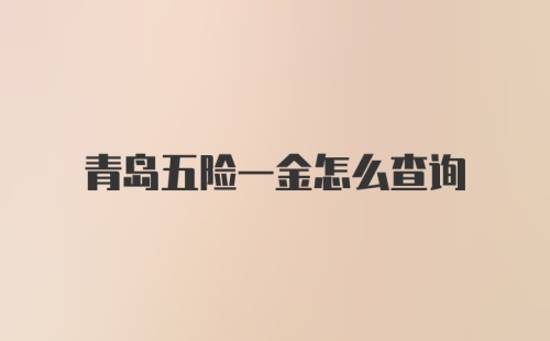 青岛五险一金怎么查询