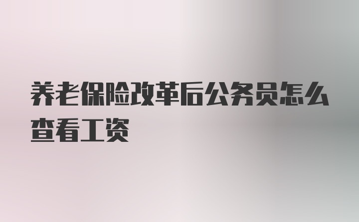 养老保险改革后公务员怎么查看工资