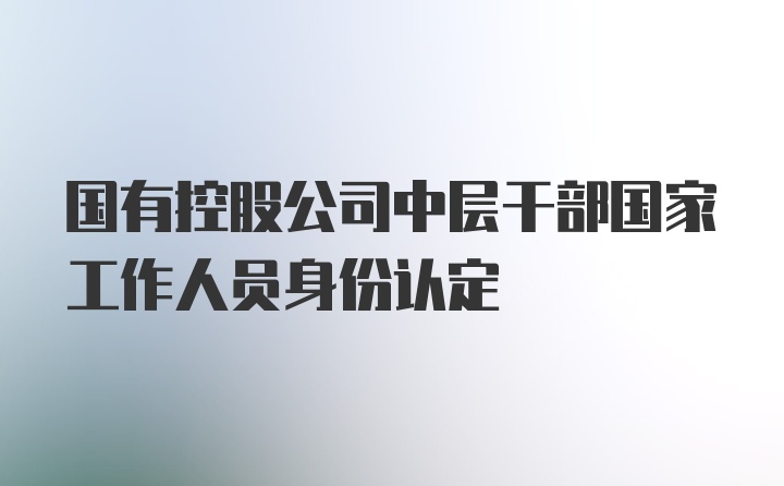 国有控股公司中层干部国家工作人员身份认定