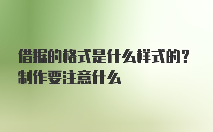 借据的格式是什么样式的？制作要注意什么