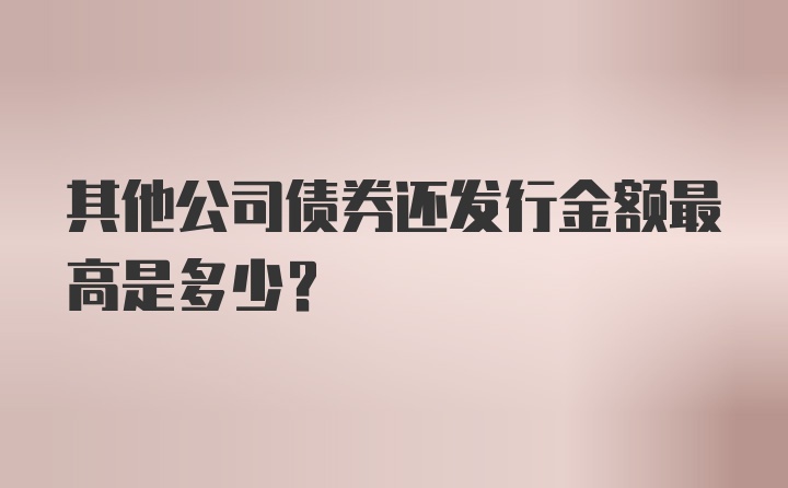 其他公司债券还发行金额最高是多少？