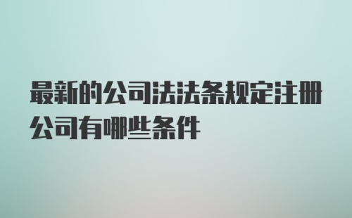 最新的公司法法条规定注册公司有哪些条件