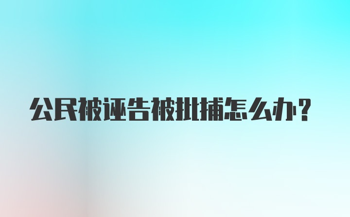 公民被诬告被批捕怎么办？