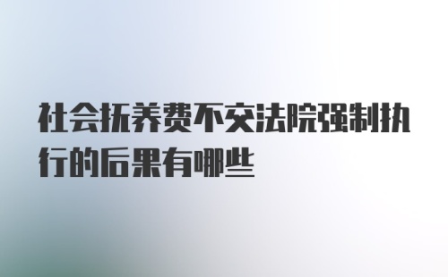 社会抚养费不交法院强制执行的后果有哪些