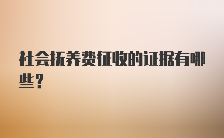 社会抚养费征收的证据有哪些？