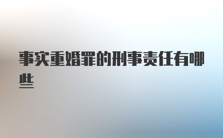 事实重婚罪的刑事责任有哪些