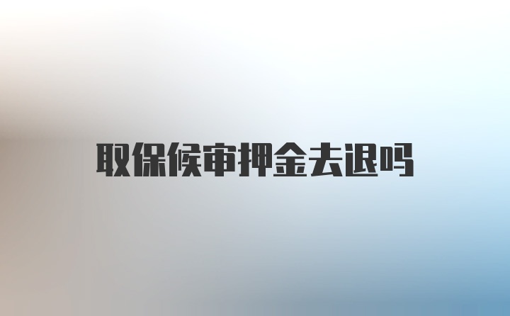 取保候审押金去退吗