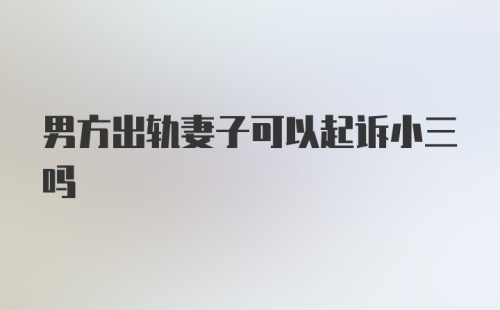 男方出轨妻子可以起诉小三吗