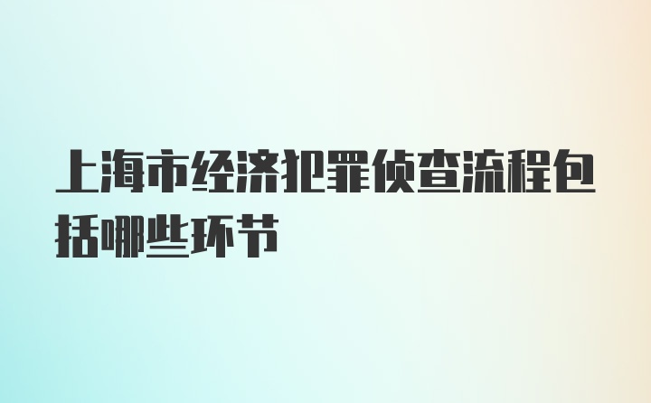 上海市经济犯罪侦查流程包括哪些环节