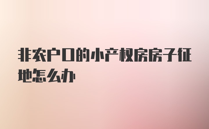 非农户口的小产权房房子征地怎么办