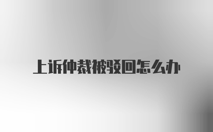 上诉仲裁被驳回怎么办