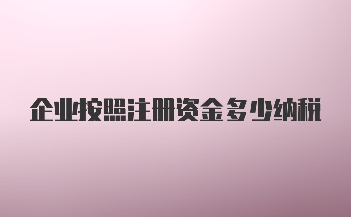 企业按照注册资金多少纳税