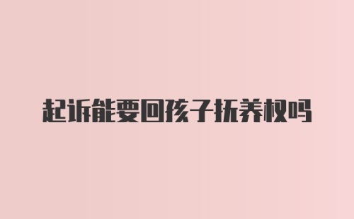 起诉能要回孩子抚养权吗