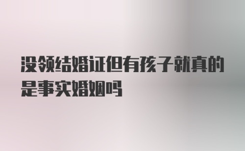 没领结婚证但有孩子就真的是事实婚姻吗