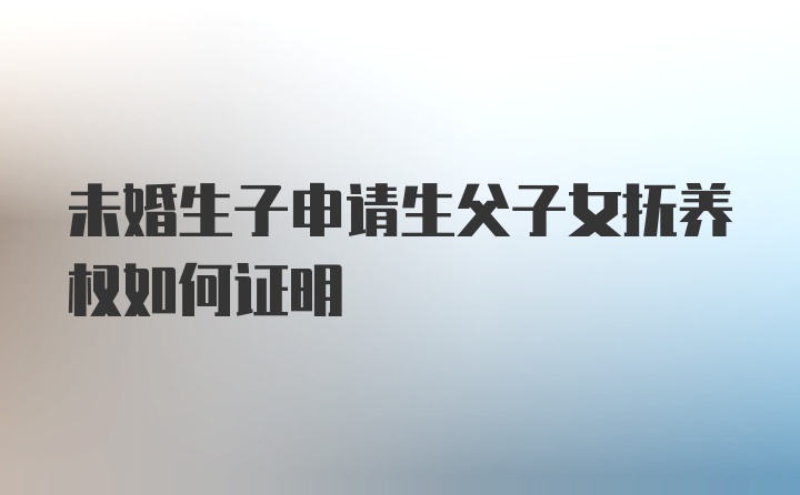 未婚生子申请生父子女抚养权如何证明