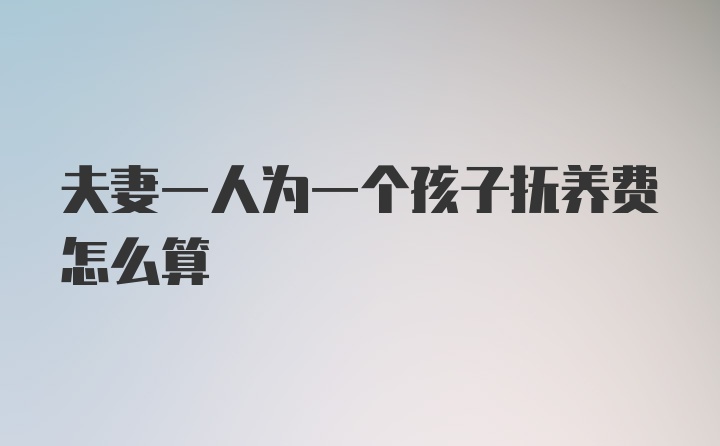 夫妻一人为一个孩子抚养费怎么算