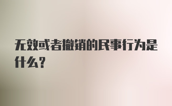 无效或者撤销的民事行为是什么？