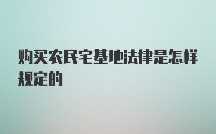 购买农民宅基地法律是怎样规定的