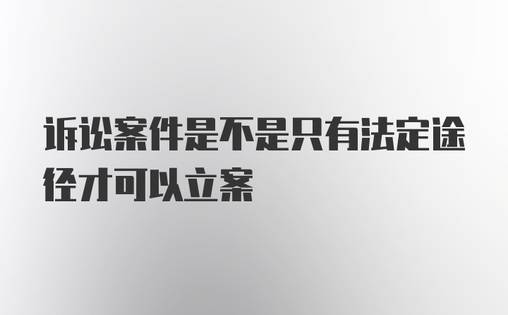 诉讼案件是不是只有法定途径才可以立案