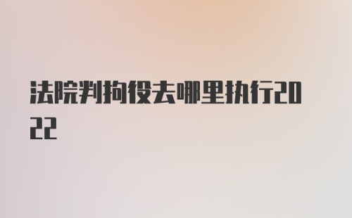 法院判拘役去哪里执行2022