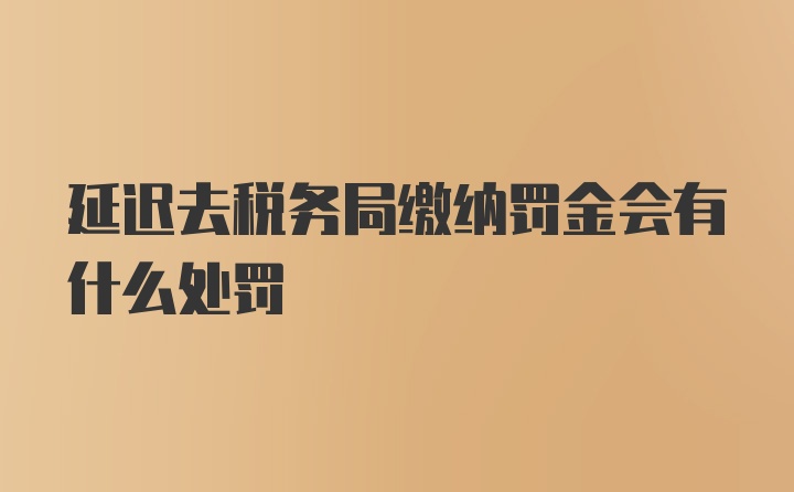 延迟去税务局缴纳罚金会有什么处罚