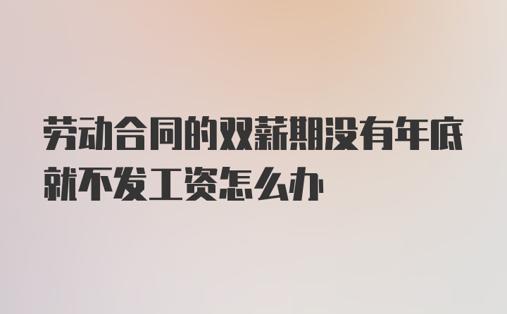 劳动合同的双薪期没有年底就不发工资怎么办