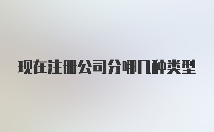 现在注册公司分哪几种类型