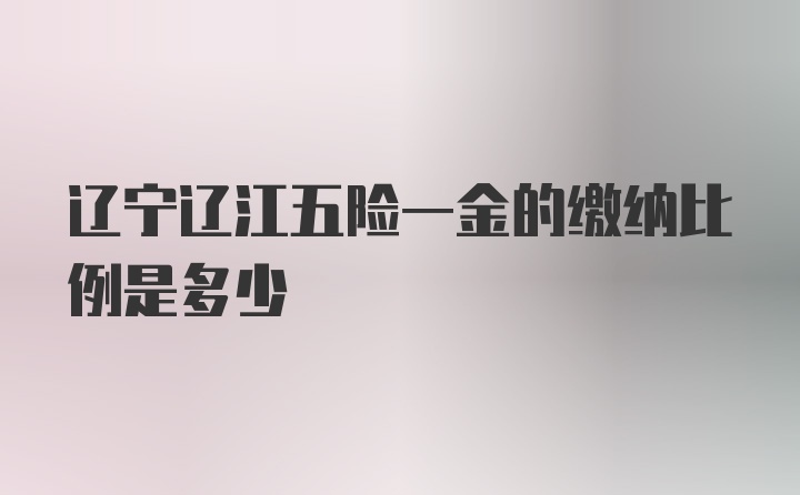 辽宁辽江五险一金的缴纳比例是多少