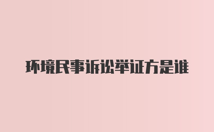 环境民事诉讼举证方是谁