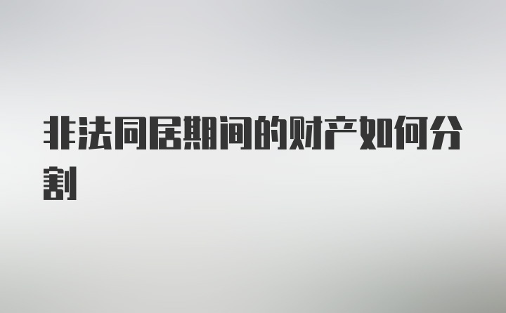 非法同居期间的财产如何分割